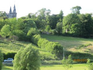 IMG_9130