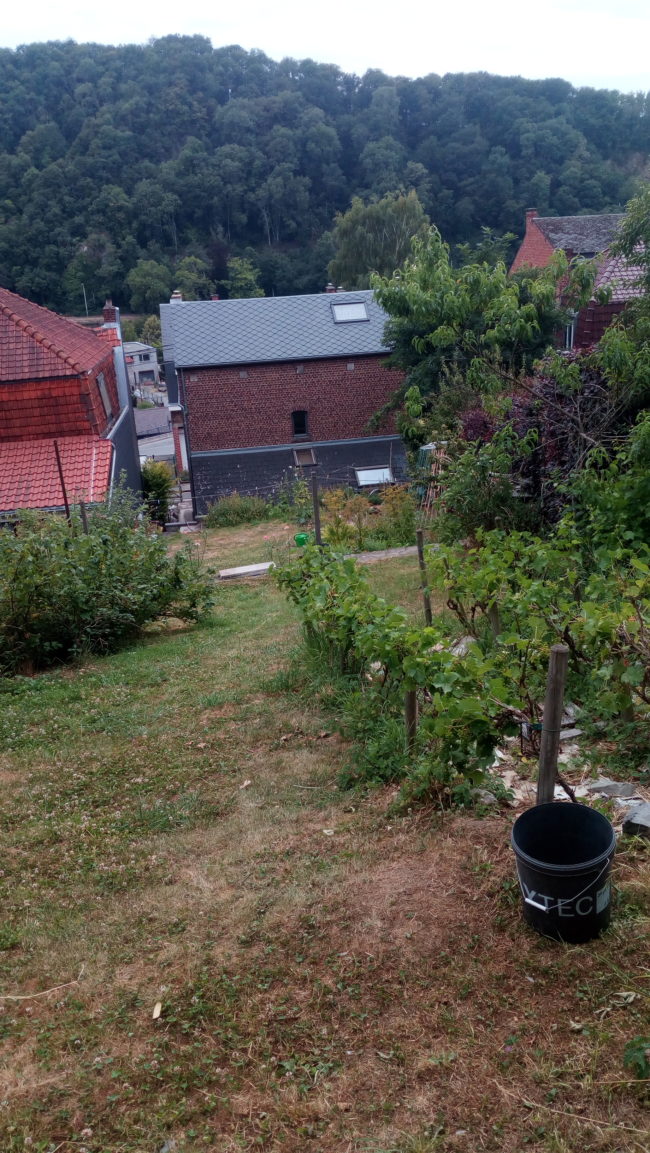 Maison à louer à la campagne