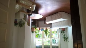 wp_20160926_16_14_57_pro
