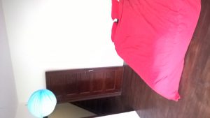 wp_20160926_16_24_21_pro