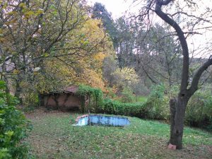 giardino1
