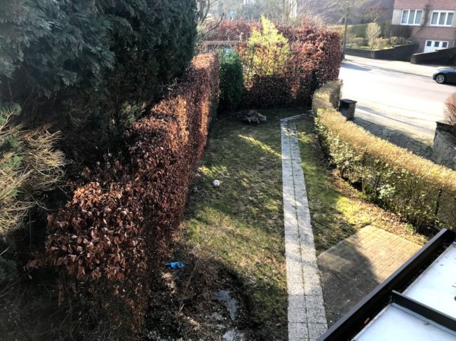 Charmant immeuble à deux pas de la forêt de Soignes !