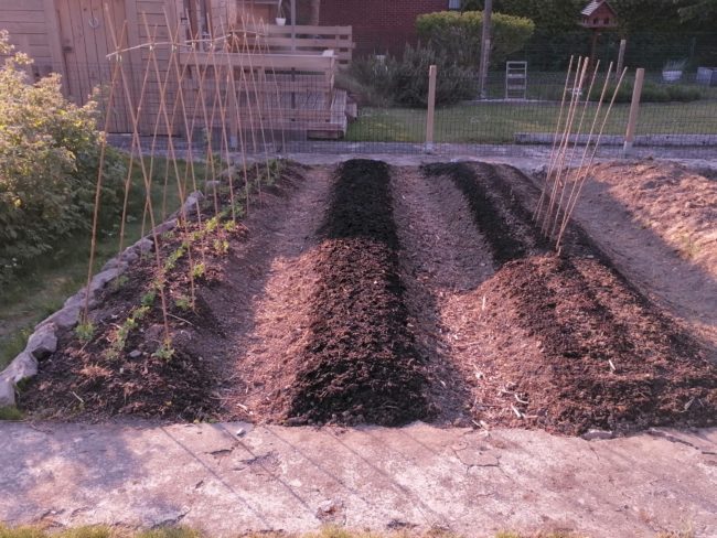 rencontre fille marche en famenne