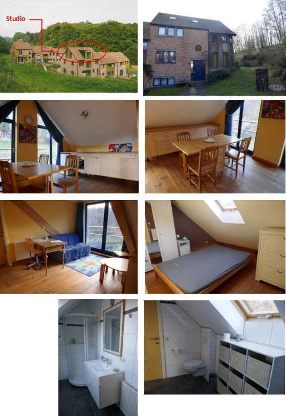 Photos