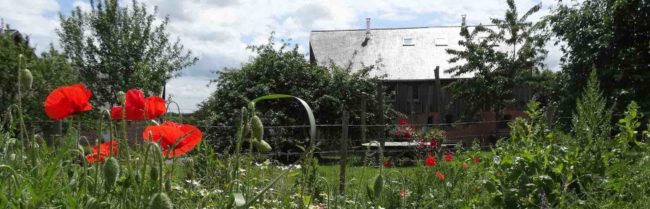Maison à louer – Basse énergie et écologique – 5 chambres – dans l’habitat groupé « Le Verger » situé à Temploux (Namur-Gembloux)
