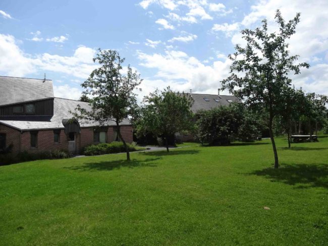 Maison à louer – Basse énergie et écologique – 5 chambres – dans l’habitat groupé « Le Verger » situé à Temploux (Namur-Gembloux)