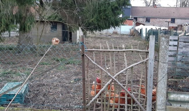 Nous cherchons un(e) nouveau(elle) colocataire !