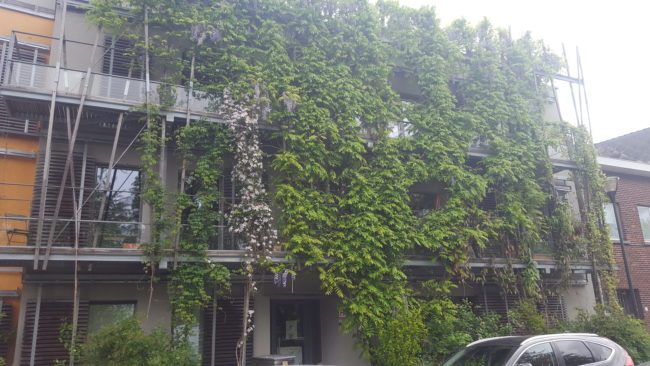 Appart Eco-construit Passif en Habitat Groupé