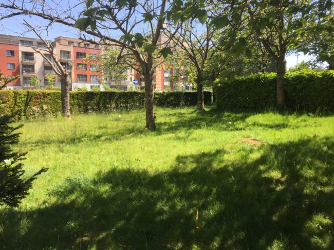 Habitat solidaire et participatif