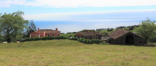 Habitat groupé dans l’un des derniers paradis d’Europe, au milieu de l’océan Atlantique.