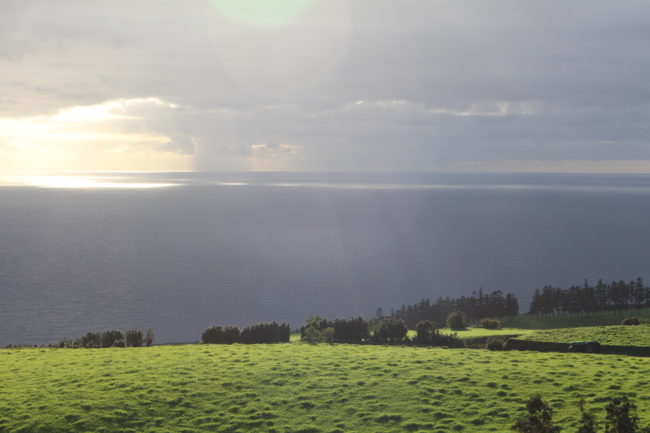 Habitat groupé dans l’un des derniers paradis d’Europe, au milieu de l’océan Atlantique.
