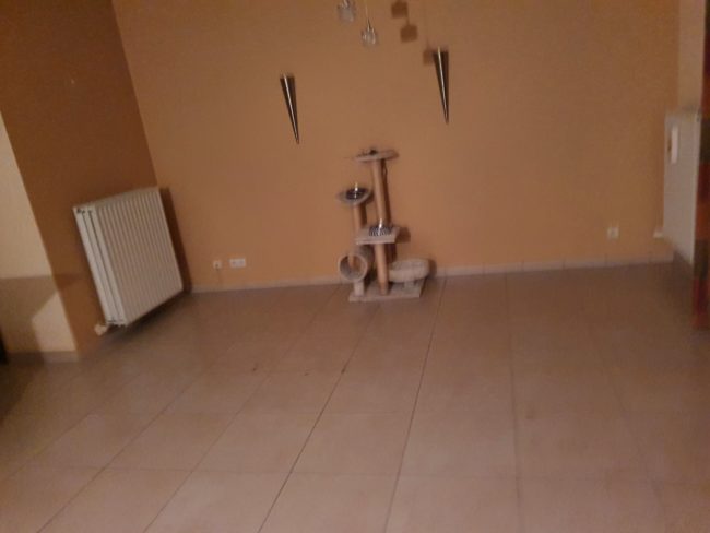Grand appartement 2ch a louer 750 €