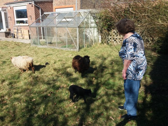 Une colocation à la frontière BW-Namur : il reste 1 places ! Village de Liernu, commune d’Eghezée, entre Namur et Wavre 250€+charges