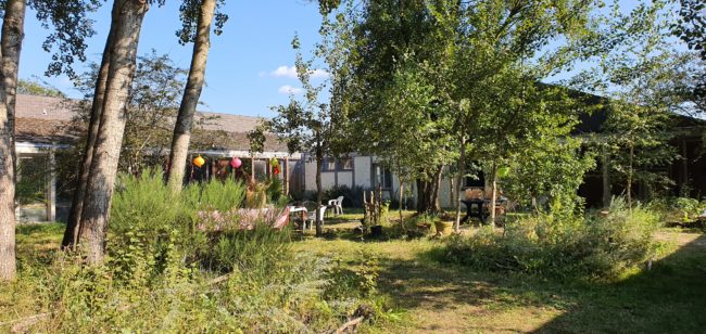 Habitat solidaire en Gaume, 3 maisons à vendre !