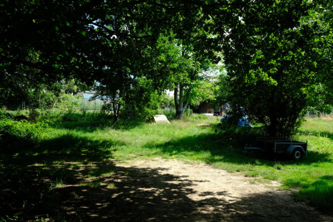 Terrain à vendre à Montegnet (Havelange)