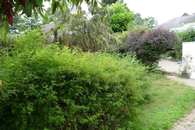 Overijse – Jesus-Eik Colocation dans villa avec jardin