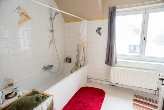 Colocation champêtre à Genappe (à partir de juillet)