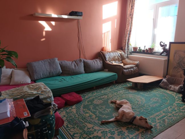NIVELLES | Recherche 1 personne pour colocation à 2 <3