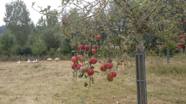 Lieu pour habitat groupé