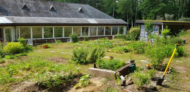 Location studios à Villers-la-Ville : potager cherche potagiste
