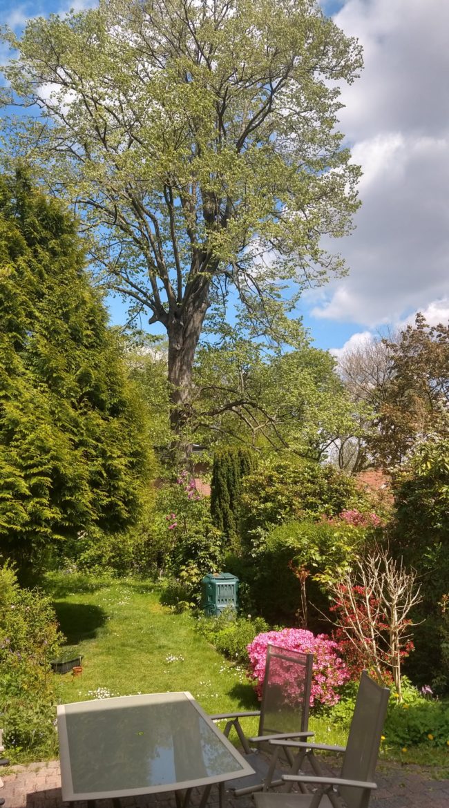 Chambre dans une colocation spacieuse (Uccle, quartier Dieweg/Kalevoet)
