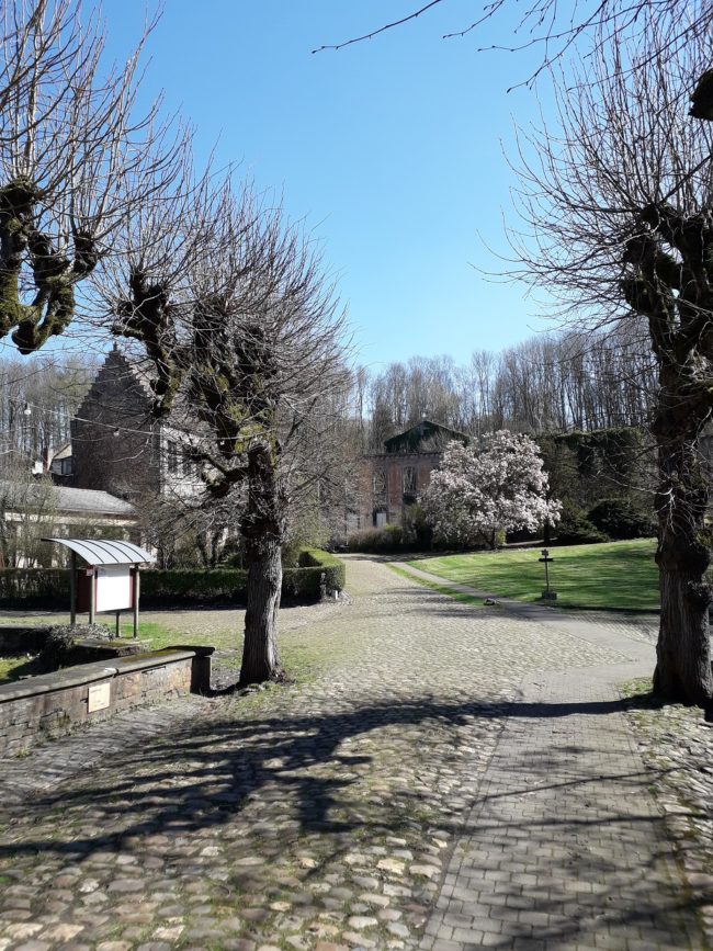 A vendre – MAISON , PART DE L’HABITAT GROUPÉ – SC ABBAYE DE SAINT DENIS – 8 km de MONS