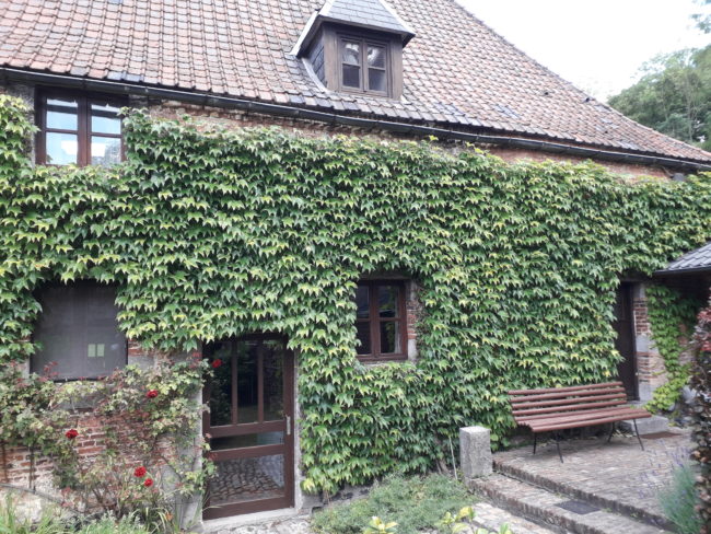 A vendre – MAISON , PART DE L’HABITAT GROUPÉ – SC ABBAYE DE SAINT DENIS – 8 km de MONS