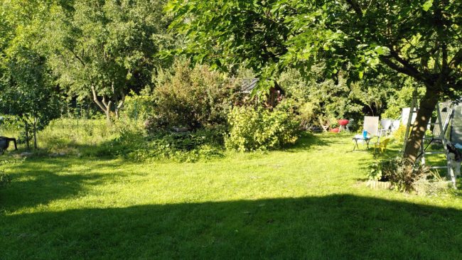 Maison 4 chambres en collocation avec grand jardin – limite Limal/Ottignies