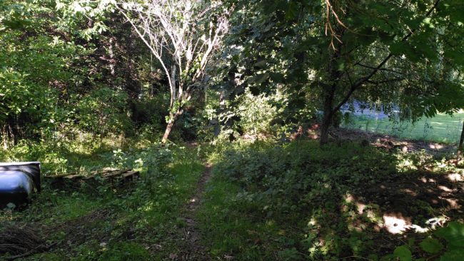 Maison 4 chambres en collocation avec grand jardin – limite Limal/Ottignies