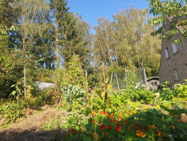 CHAMBRES DISPONIBLES POUR MAMANS SOLOS AVEC UN ENFANT