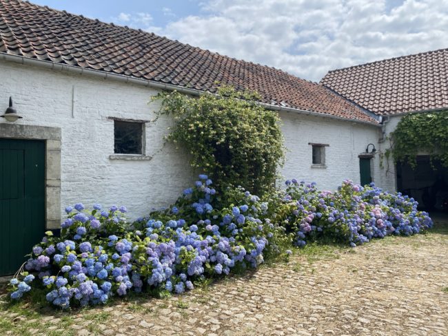 Un foyer à vendre à la Ferme nourricière de Gentilsart !