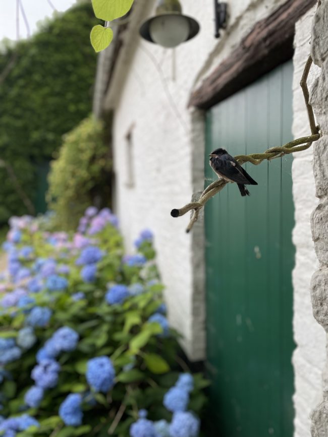 Un foyer à vendre à la Ferme nourricière de Gentilsart !
