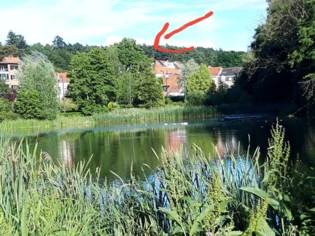 Sous-location temporaire pour 2 mois (août-septembre 2024) au coin du balais, Bruxelles