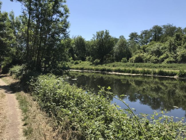 Grand grenier 35m2 à Louer dans belle maison à Arquennes