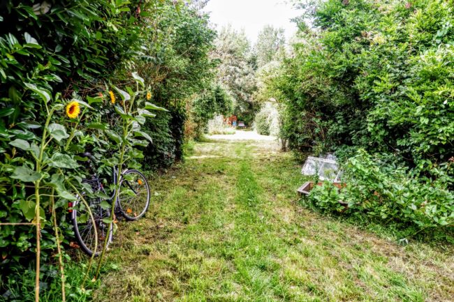 Grand grenier 35m2 à Louer dans belle maison à Arquennes