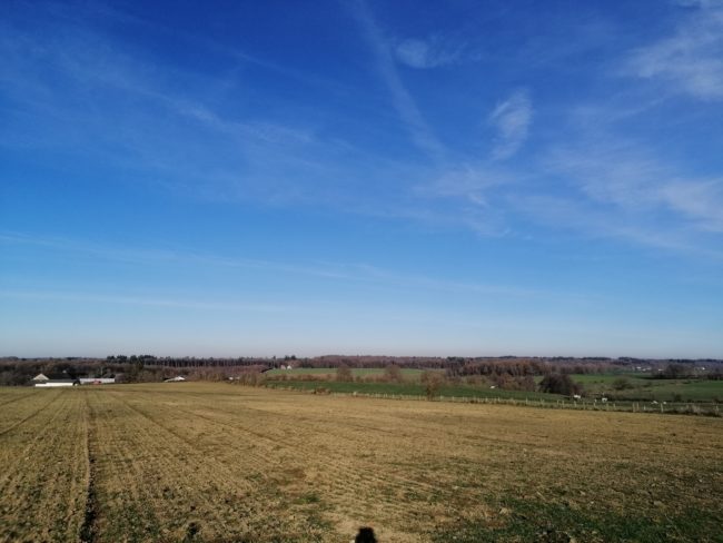 Location à la campagne avec aménagement d’extérieurs communs