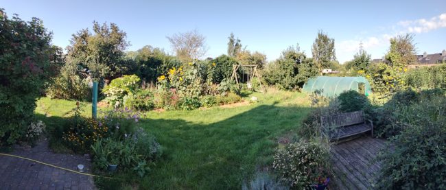 Chambre dans une colocation à Nivelles (proximité gare, libre 1 déc., non fumeur)