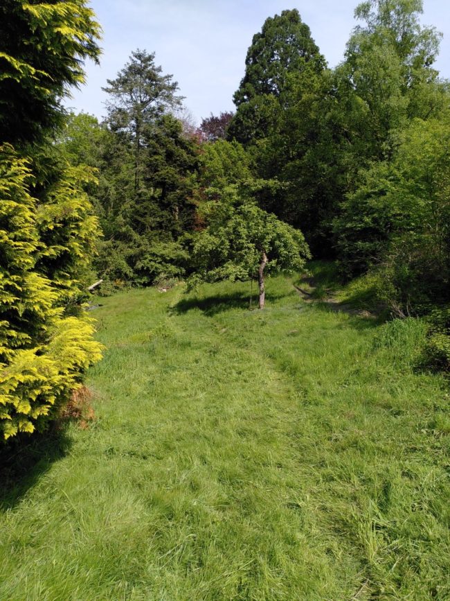 🏡🪴Ottignies 🌳- Appartement indépendant libre dans un petit habitat groupé🌻🏡