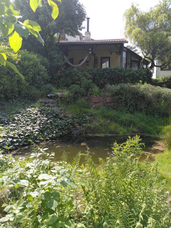 🏡🪴Ottignies 🌳- Appartement indépendant libre dans un petit habitat groupé🌻🏡