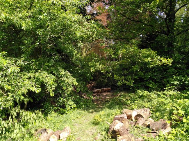 🏡🪴Ottignies 🌳- Appartement indépendant libre dans un petit habitat groupé🌻🏡
