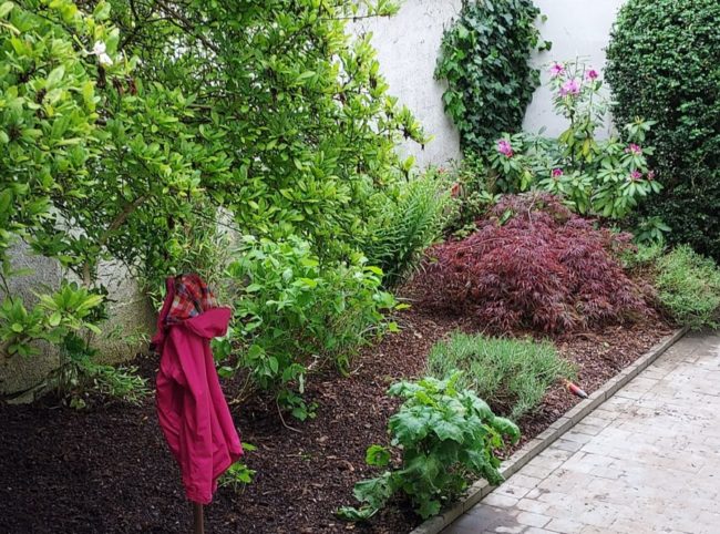 Urgent – La Maison Speranza cherche une personne (H/F) désirant vivre en colocation solidaire