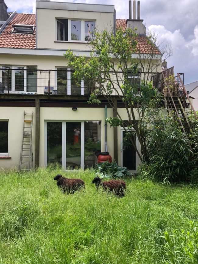 2 HUISGENOTEN GEZOCHT – DEUX COLOCs RECHERCHÉ·EXS / CENTRUM VAN BEERSEL. PAYSAGE PITTORESQUE DU PAJOTTENLAND