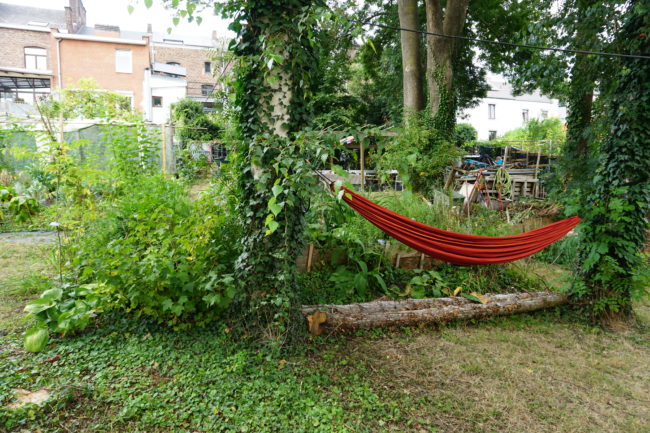 Location apparement 2 chambres – terrasse plein sud et accès jardin forêt