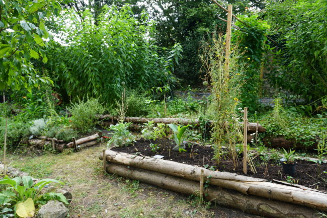 Location apparement 2 chambres – terrasse plein sud et accès jardin forêt