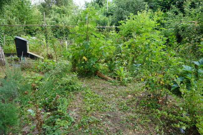 Location apparement 2 chambres – terrasse plein sud et accès jardin forêt