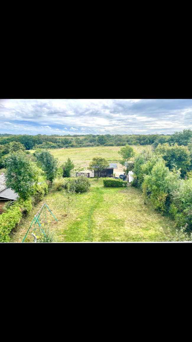 Agence – Grande maison (maison kangourou, co-living) – 1 hectare – à vendre – Houyet