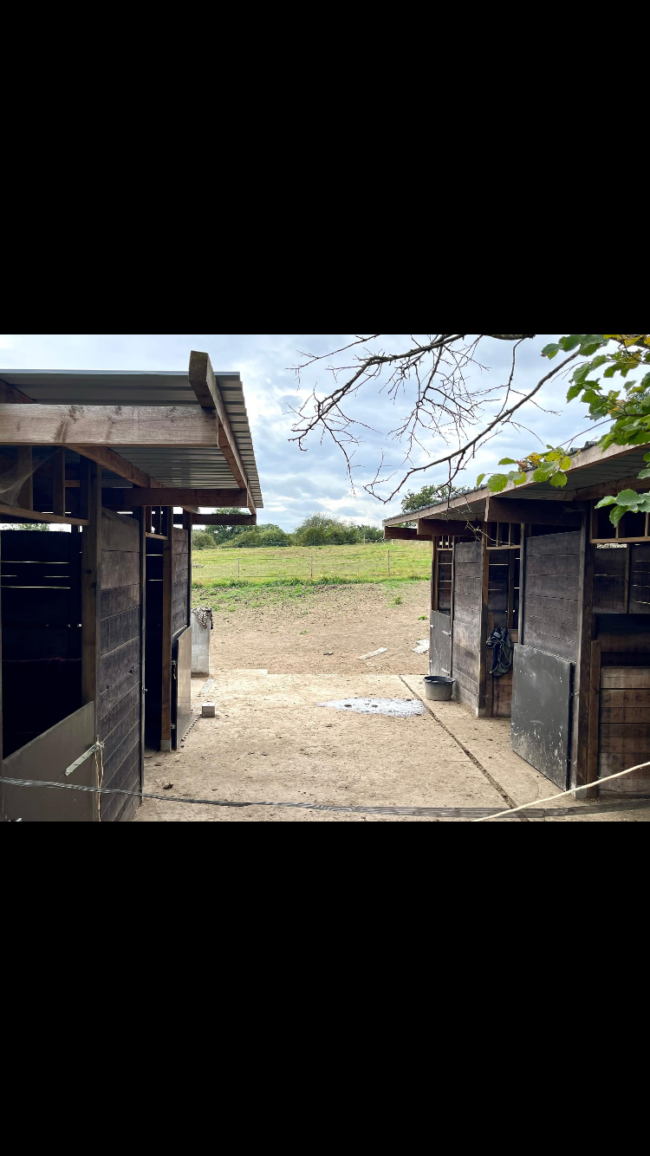 Agence – Grande maison (maison kangourou, co-living) – 1 hectare – à vendre – Houyet