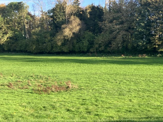 TAILLE S : Un projet d’habitat novateur qui s’inscrit dans la transition écologique et la solidarité.
