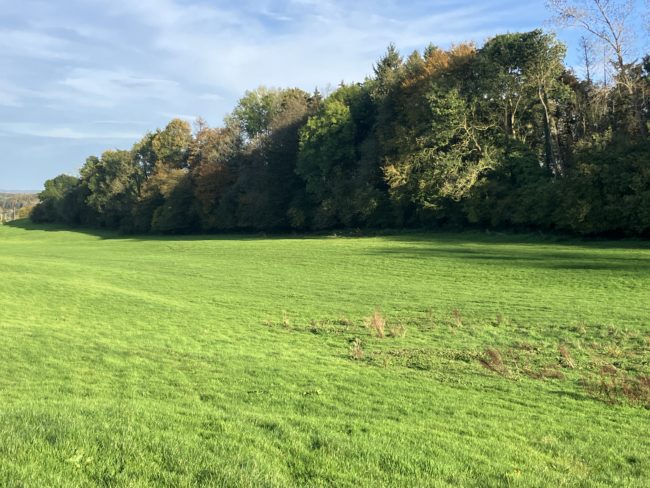 TAILLE S : Un projet d’habitat novateur qui s’inscrit dans la transition écologique et la solidarité.