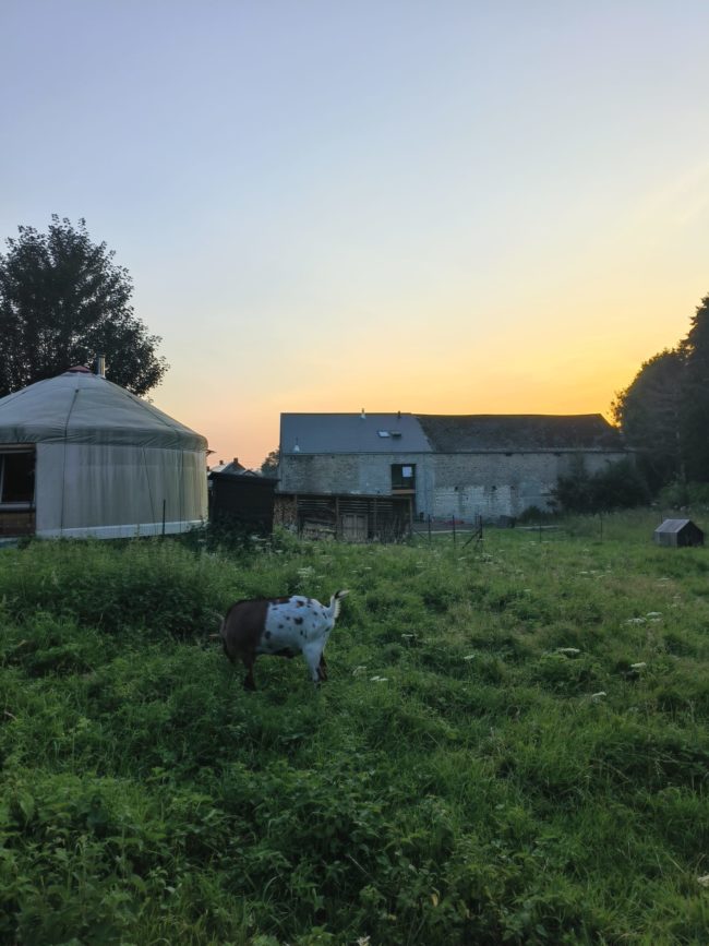 YOURTE à louer à partir de janvier